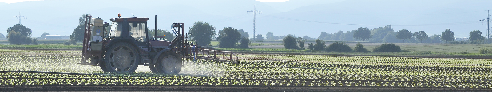 Traktor bringt Pflanzenschutzmittel auf Gemüsefeld aus ©DLR